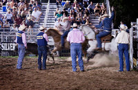 <span style="font-size:14px;">Steer Roping